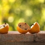 Giardino con piante e rimedi naturali per allontanare le zanzare.