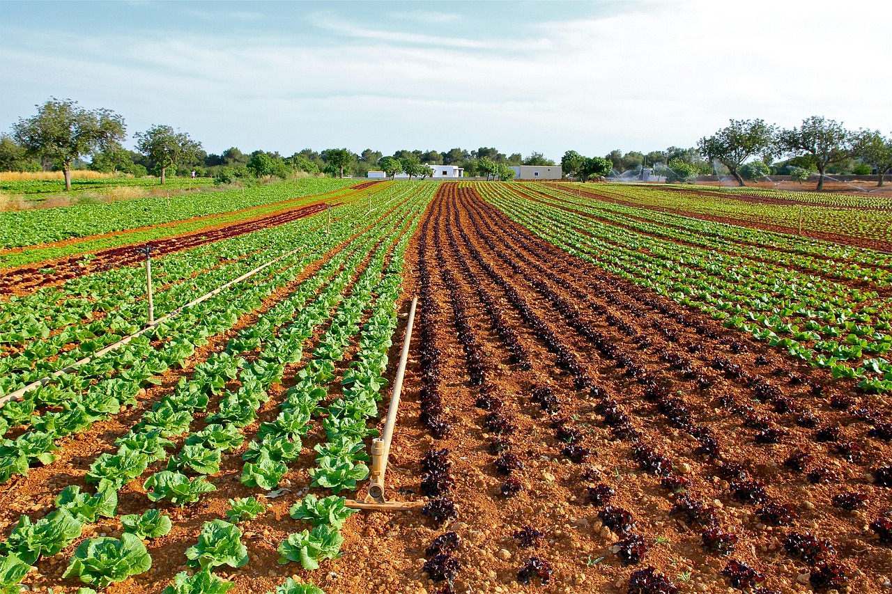Immagine di un agrotecnico in campo agricolo, simbolo della previdenza per il settore.